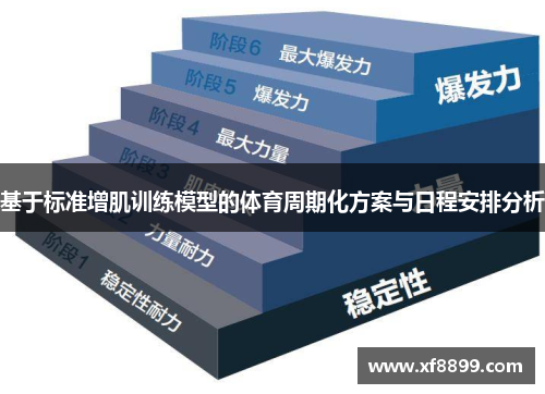 基于标准增肌训练模型的体育周期化方案与日程安排分析