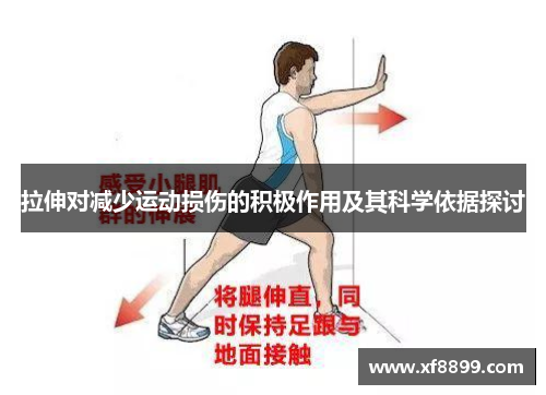 拉伸对减少运动损伤的积极作用及其科学依据探讨