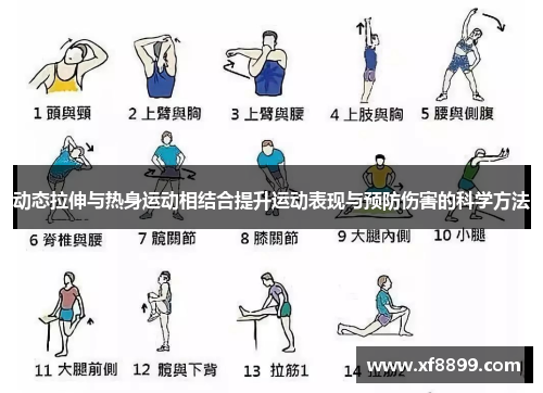 动态拉伸与热身运动相结合提升运动表现与预防伤害的科学方法