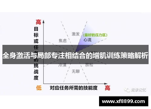 全身激活与局部专注相结合的增肌训练策略解析